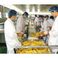 Industrial Citrus Peeler Machine Citrus Processing Line